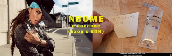 хмурый Алзамай