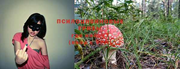 2c-b Алексин