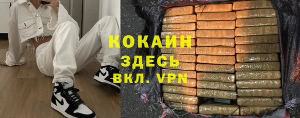 хмурый Алзамай