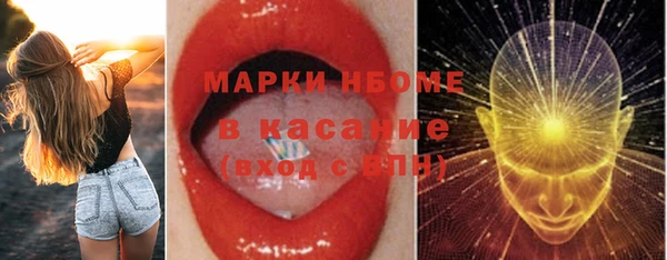 хмурый Алзамай